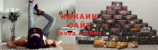 СК Дмитровск