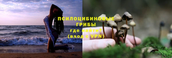 СК Дмитровск
