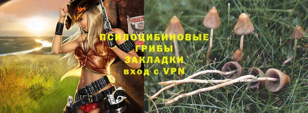 трава Дмитриев