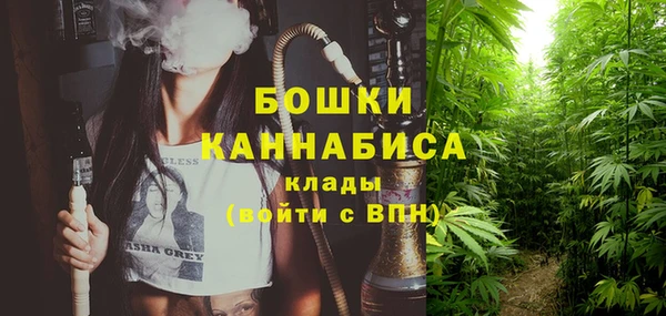 трава Дмитриев