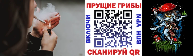 Купить  Бутурлиновка  Галлюциногенные грибы ЛСД 